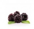 moras